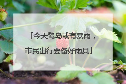 今天鹭岛或有暴雨，市民出行要备好雨具